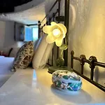 Casa vacanze Moinhos Da Guimaroa *